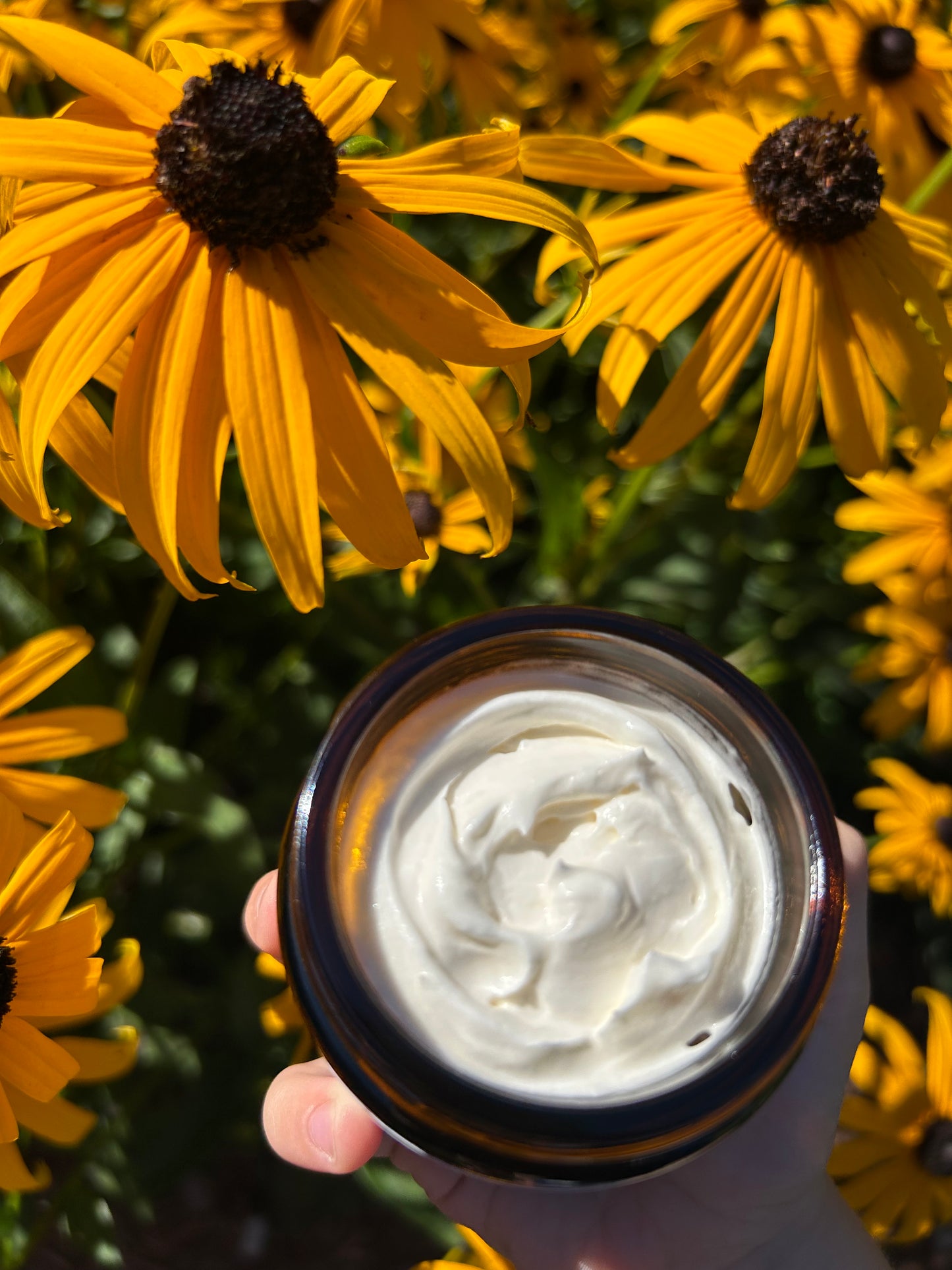 Whipped Tallow Rosehip Face Balm Frankincense
