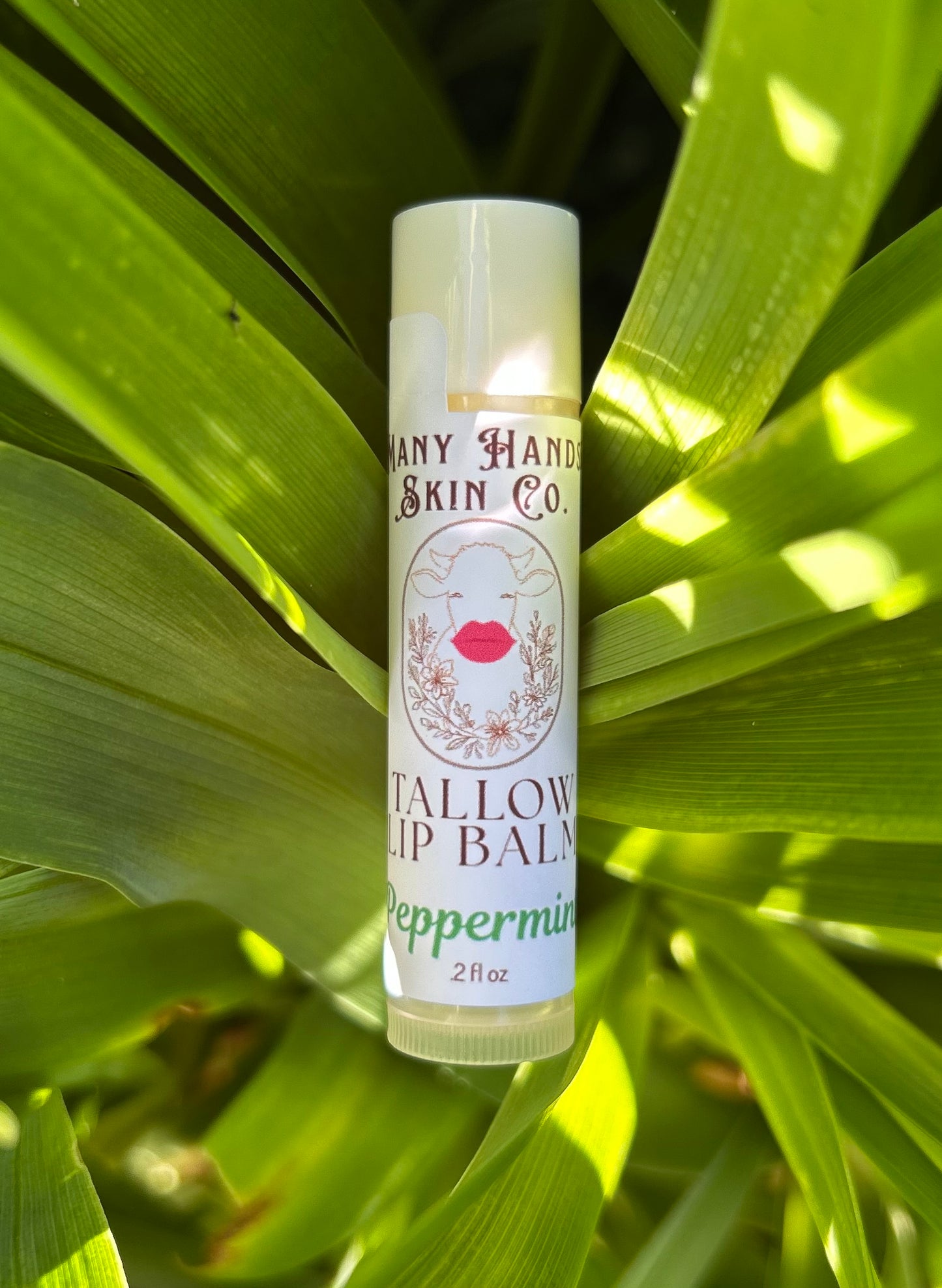 Tallow Lip Balm Peppermint