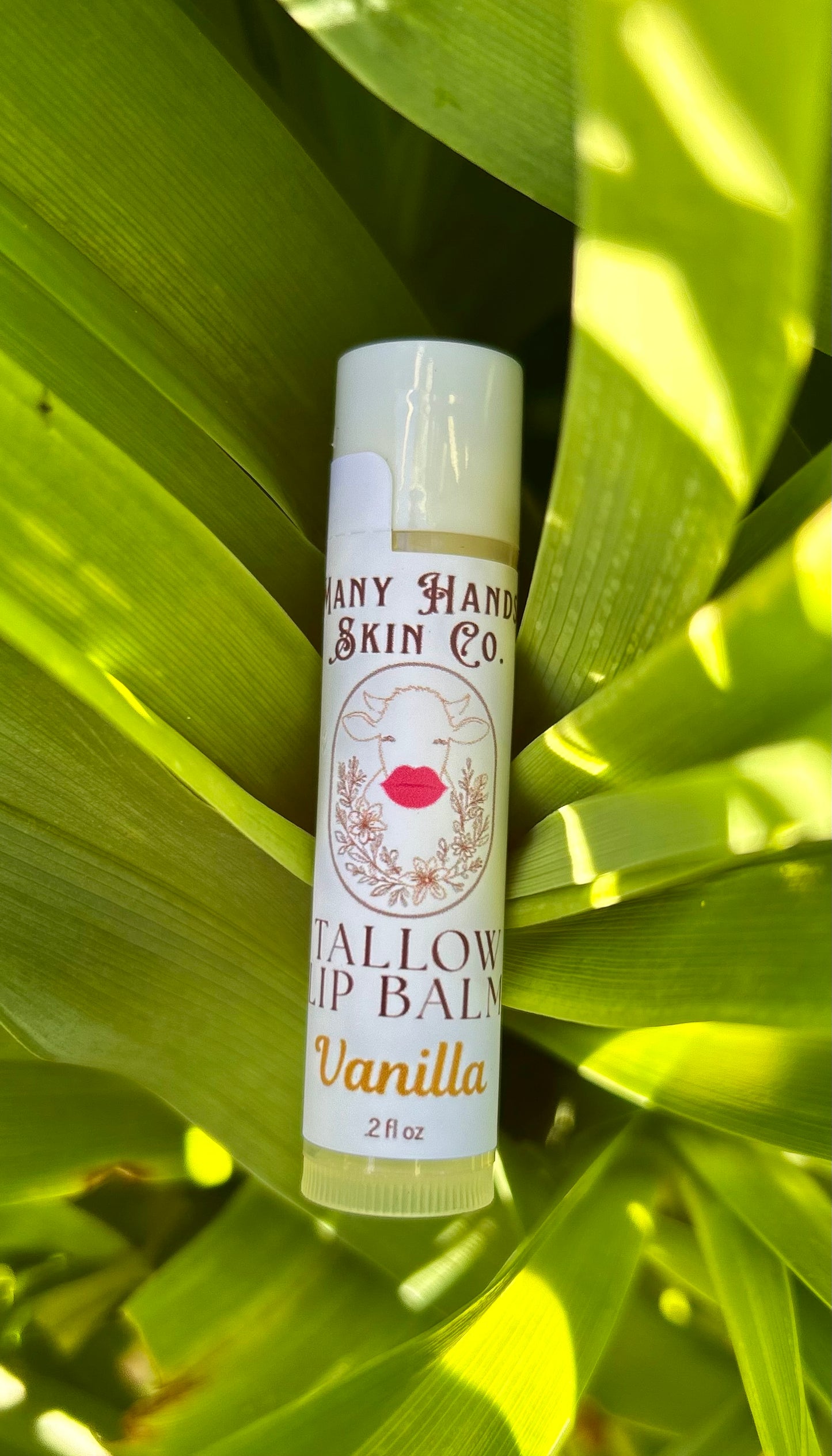Tallow Lip Balm Vanilla