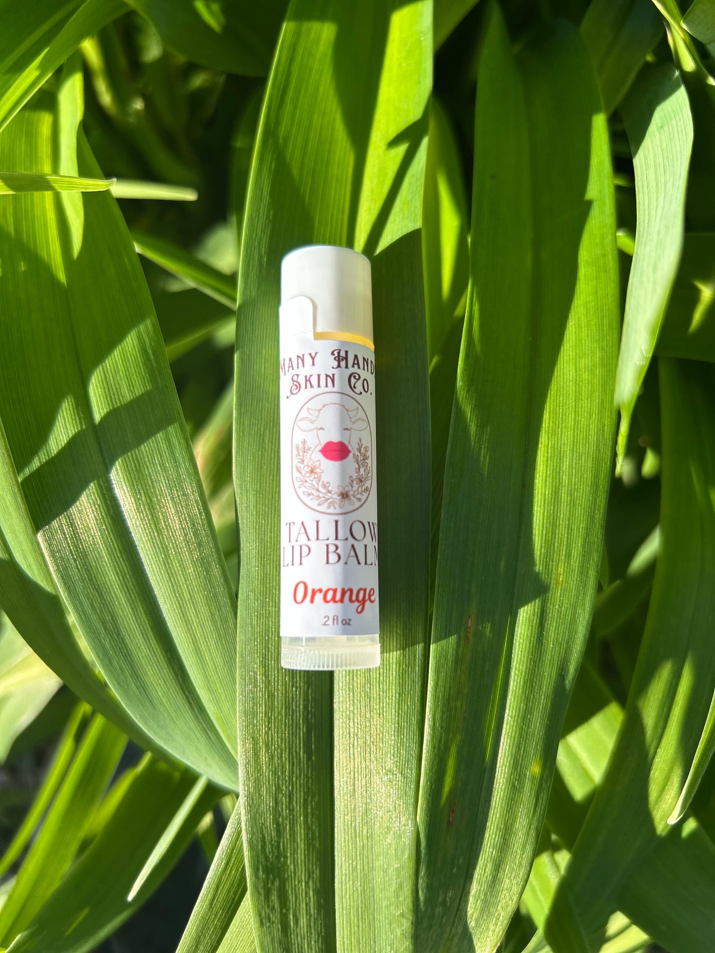 Tallow Lip Balm Orange