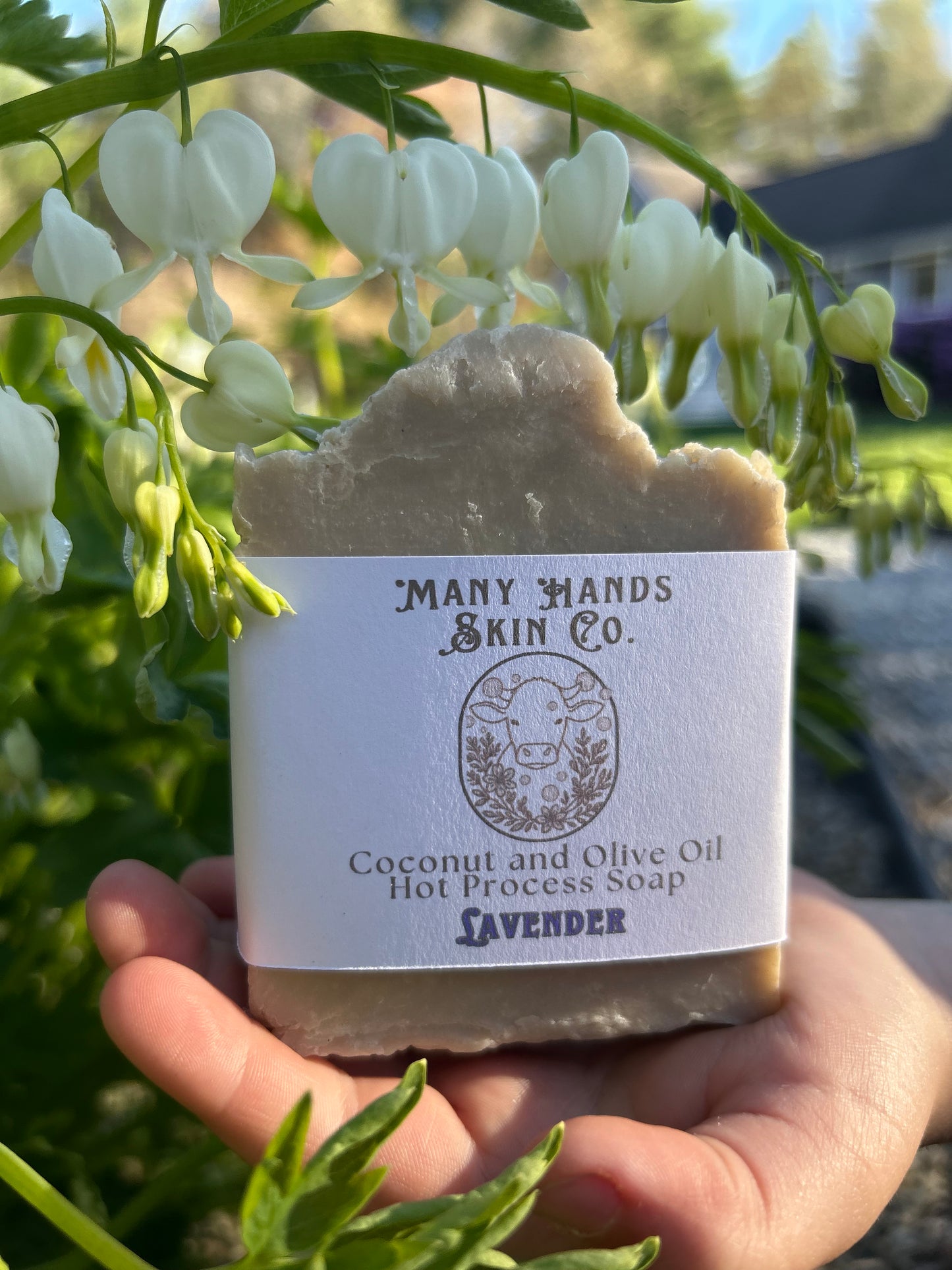 Hot Process Coconut Oil and Olive Oil Soap Lavender