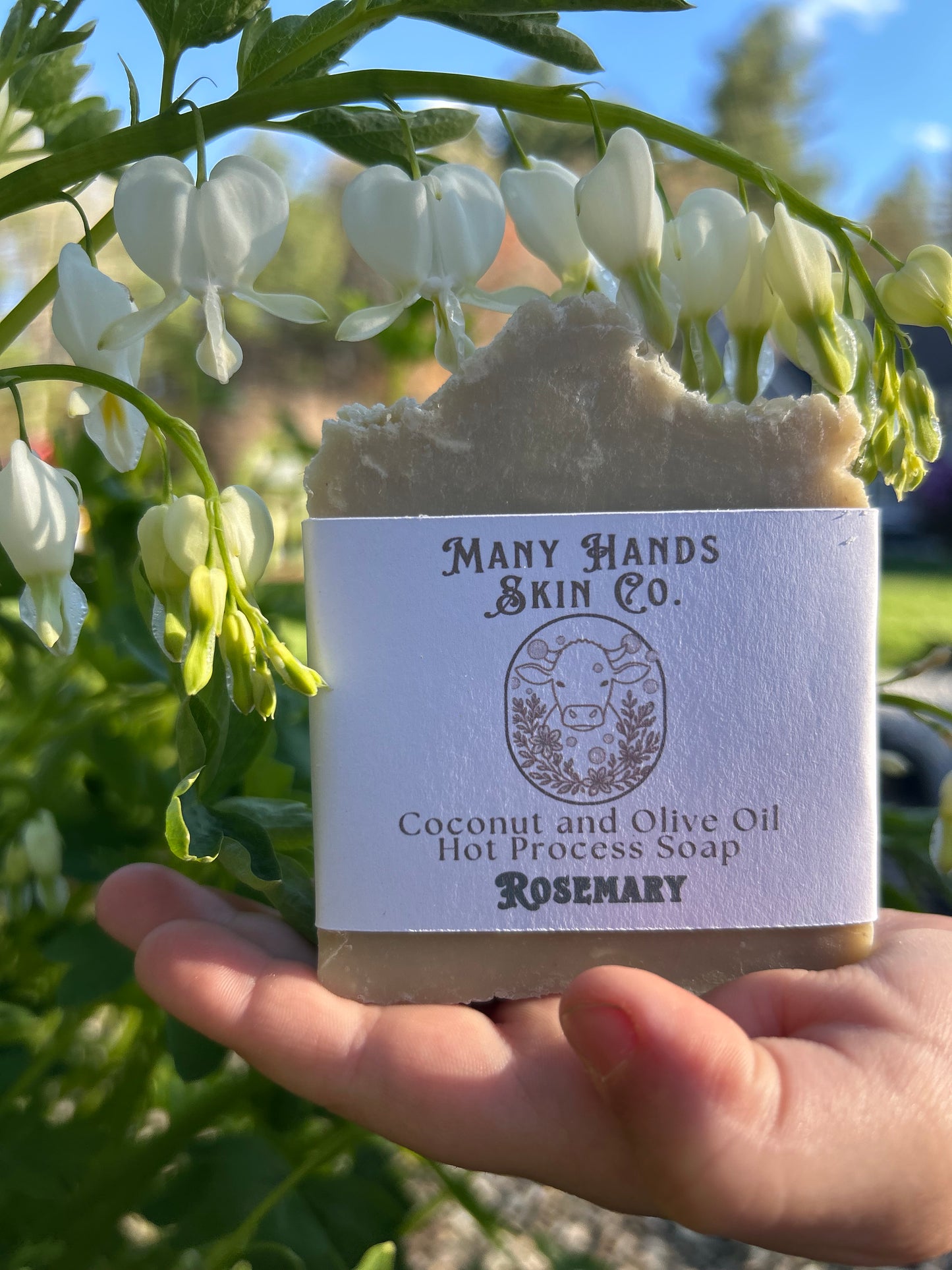 Hot Process Coconut Oil and Olive Oil Soap Rosemary