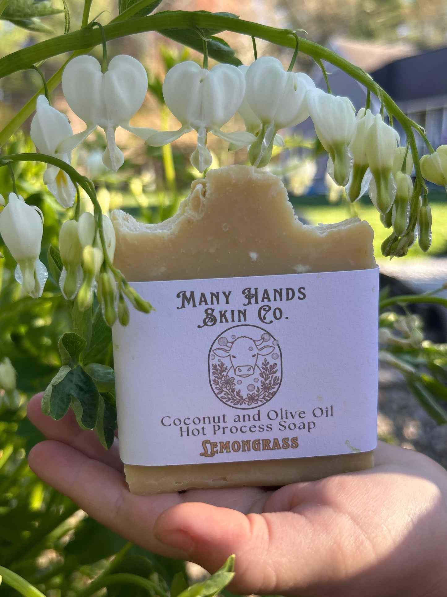 Hot Process Coconut Oil and Olive Oil Soap Lemongrass